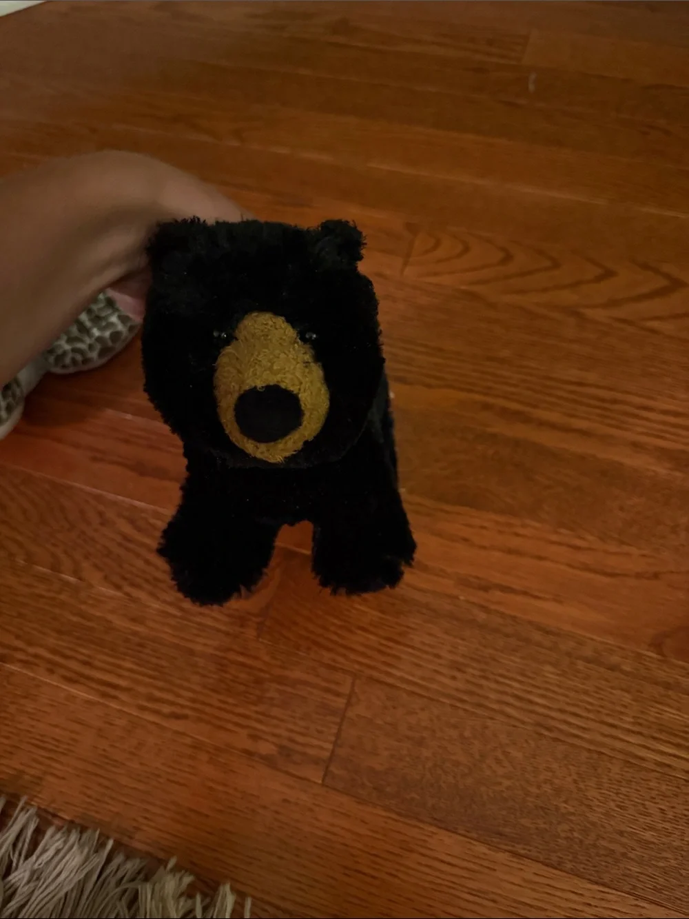 Plush Turtle and Bear Small-Pet Toy Set - Green & Black